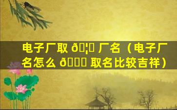 电子厂取 🦉 厂名（电子厂名怎么 🐒 取名比较吉祥）